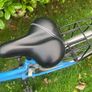 girls bike Image 3