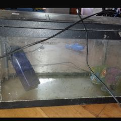Fish tank
