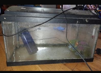 Fish tank