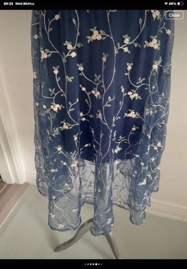 dress Bnwt Paisie occasion wear dress size 10