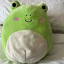 Squishmallow - Wendy the Frog Image 2