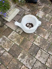 planter