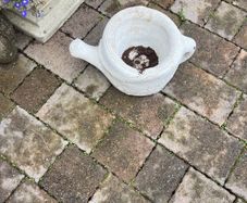 planter