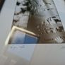 Patrick Donald "The Spire" Dublin Framed photo Image 2