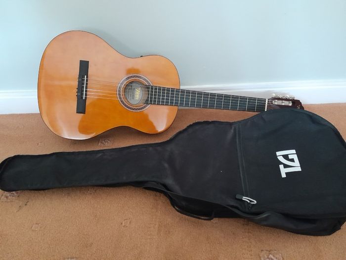 acoustic guitar
