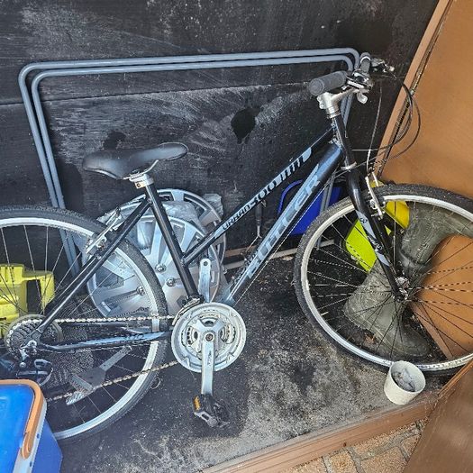 ladys bike