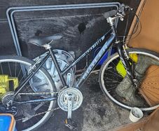 ladys bike