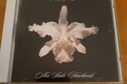 Kings of Leon - Aha Shake Heartbreak album