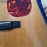 Atkin Essential D with LR Baggs pickup. Image 4