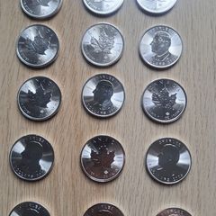 1 oz (QTY. 20) Canadian Maple Leaf 2025 Silver Bullion Coins