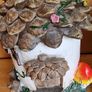 Set of  5 beautiful  fairy houses Image 8