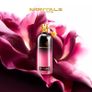 Oud Fool Roses Montale 2024 for women and men news tester free gift Image 2