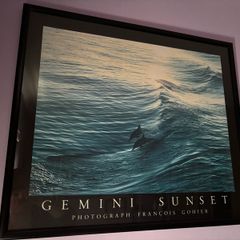 Gemini Sunset by Francois Gohier