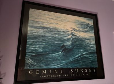 Gemini Sunset by Francois Gohier