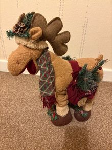 Reindeer