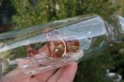 Ship in a Bottle