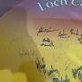 2004 leinster champions wexford GAA framed and signed jersey Image 4