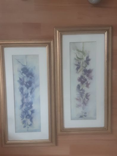 Pictures/(1) Purple Larkspur (2) Blue Larkspur .. Frame Sizes: 25" High x 13" Wide ..Heavily Reduced  Now Final Price Drop .. Both for 20.00euro