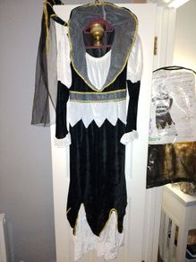 Fancy Dress/Halloween outfit