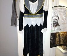Fancy Dress/Halloween outfit