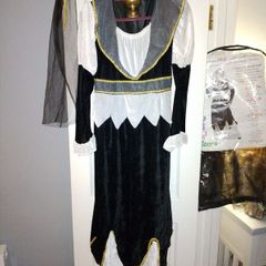 Fancy Dress/Halloween outfit