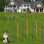 Dog Agility Set Image 3