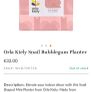 Orla Kiely Snail Bubblegum Planter -BNIB Image 3