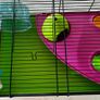 Hamster Cage Image 2
