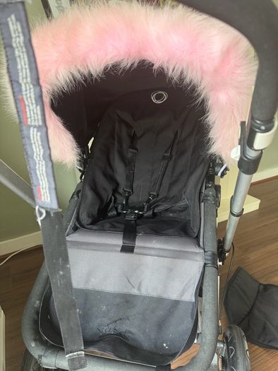 bugaboo cameleon