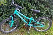 Apollo zest 20" bike