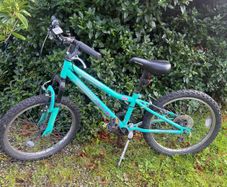Apollo zest 20" bike