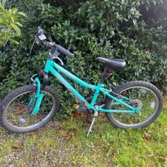 Apollo zest 20" bike