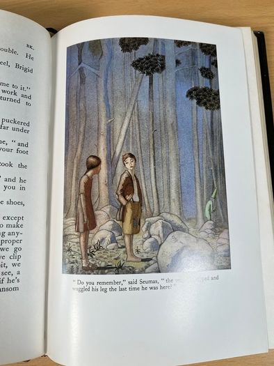 The Crock of Gold, James Stephens, Illustrated - Macmillan - VGC - Hardback