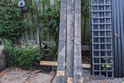 360cm lengths of 2x6 pressure treated timber