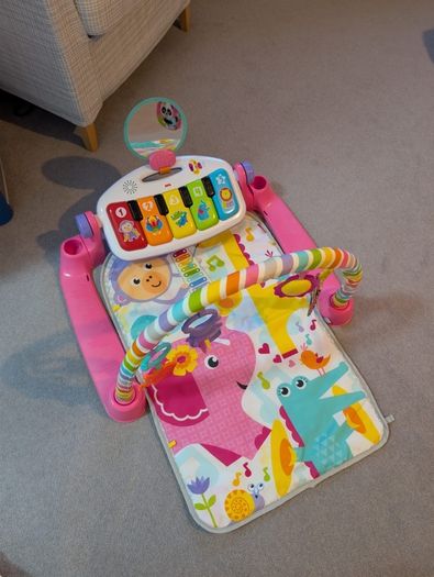 Baby Play Gym