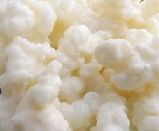 Kefir grains (frozen)