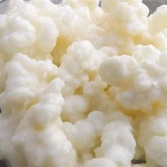 Kefir grains (frozen)