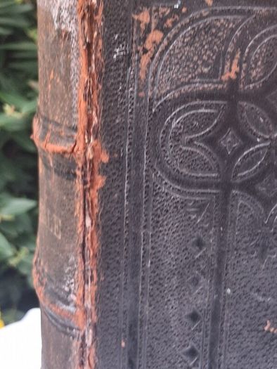 19th Century Family Bible (13x11 inches)