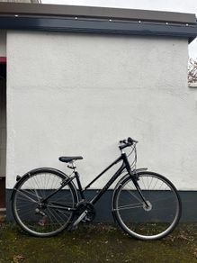 Giant Escape Bike