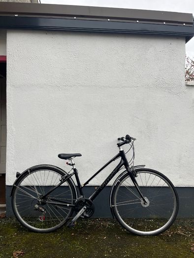 Giant Escape Bike