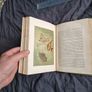 Wood's Natural History, 1893 ed. Incredible Condition. Image 3