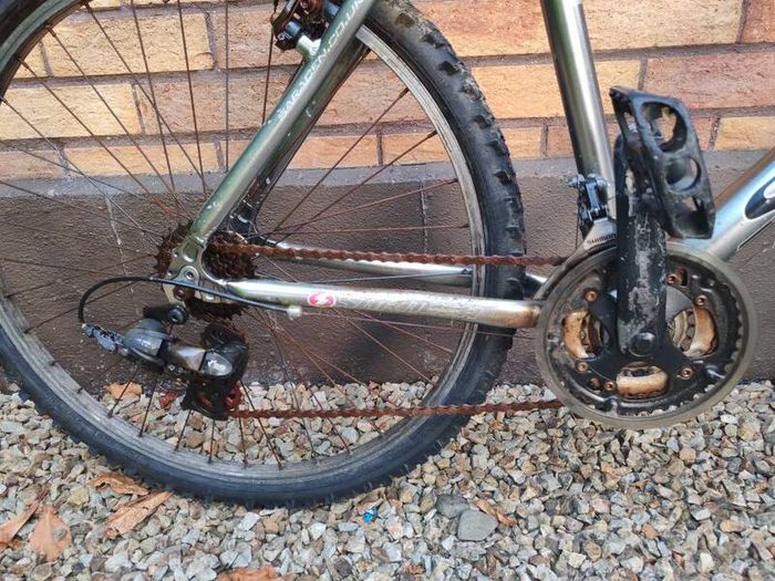 Adult Mountain bike