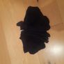 Boys brand new socks Image 3