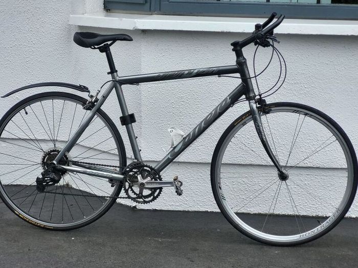 Carerra Gryphion Light Used Hybrid