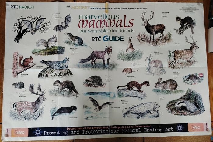 Marvellous Mammals (Mooney Goes Wild Series)