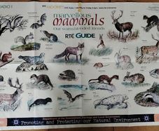 Marvellous Mammals (Mooney Goes Wild Series)