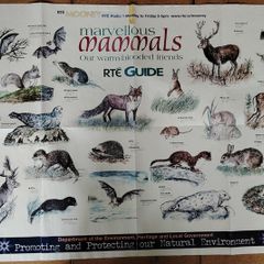 Marvellous Mammals (Mooney Goes Wild Series)