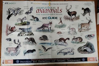 Marvellous Mammals (Mooney Goes Wild Series)