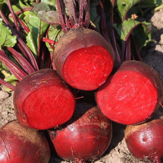 (B) Beetroot Detroit 2 seeds 5g (123254)