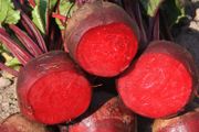(B) Beetroot Detroit 2 seeds 5g (123254)